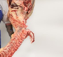 Meat Cut Spec Step 11